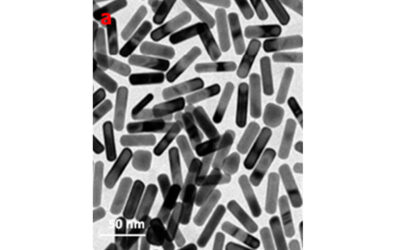 Luminescent Self-Assembled Monolayer on Gold Nanoparticles: Tuning of Emission According to the Surface Curvature