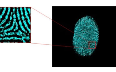 Brevetto per invenzione n.102019000022908 del 4.12.2019: MICRO-FINGERPRINT FOTONICHE COME DISPOSITIVI ANTICONTRAFFAZIONE